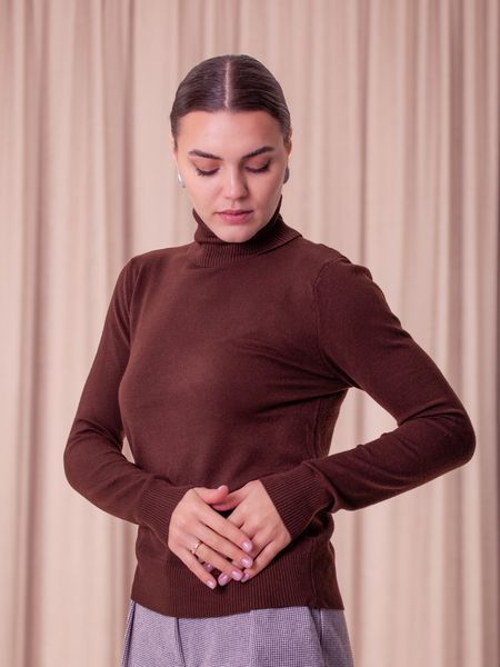 A basic, plain, chocolate colored turtleneck (M/L, chocolate)
