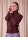 A basic, plain, chocolate colored turtleneck (M/L, chocolate)