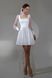 White Mini Dress with Sheer Lantern Sleeves and Corset Top (S/M, white)